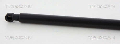 Gas Spring, bonnet
