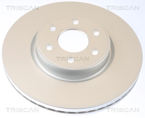 Brake Disc (8120 231064C)