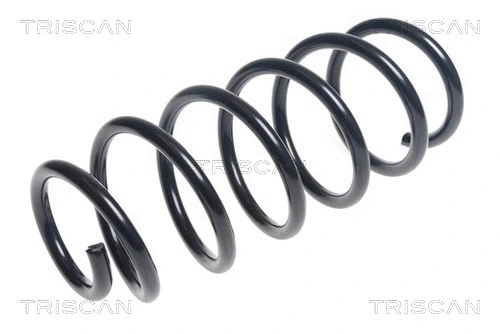 Suspension Spring (8750 24198)