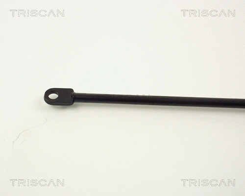 Gas Spring, boot/cargo area