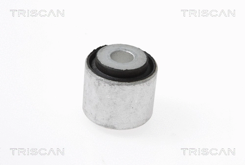 Mounting, control/trailing arm (8500 23857)