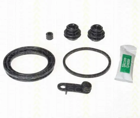 Repair Kit, brake caliper (8170 205751)