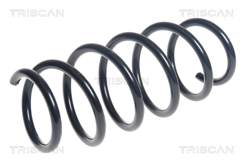 Suspension Spring (8750 16126)