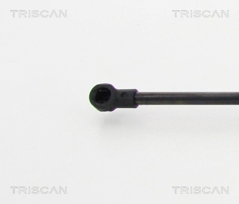 Gas Spring, rear window