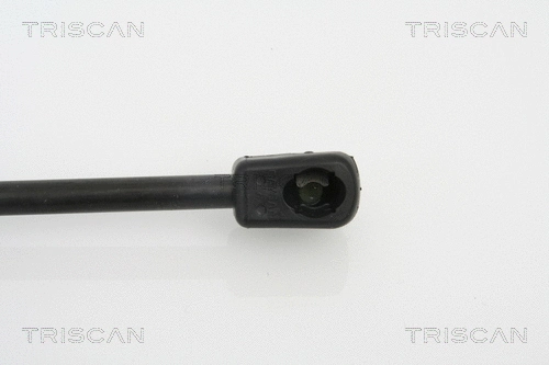 Gas Spring, boot/cargo area