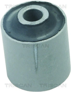 Mounting, control/trailing arm (8500 40800)