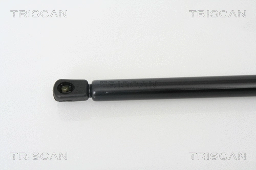Gas Spring, boot/cargo area