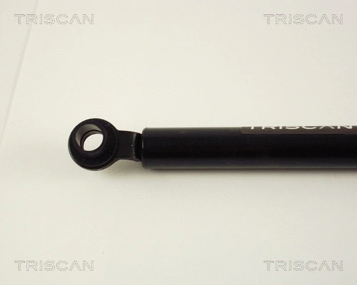 Gas Spring, boot/cargo area