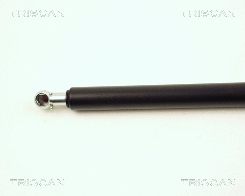 Gas Spring, boot/cargo area