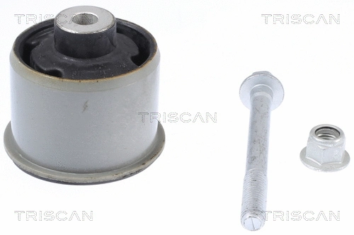 Bushing, axle beam (8500 16874)