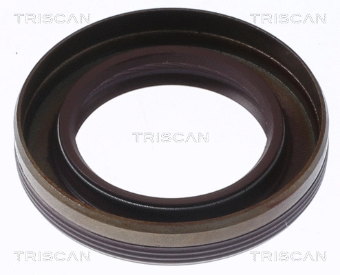 Shaft Seal, camshaft (8550 29028)