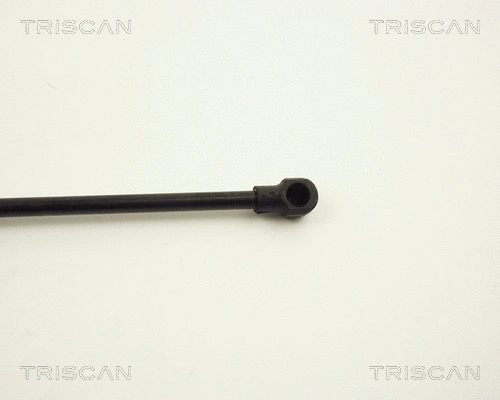 Gas Spring, bonnet