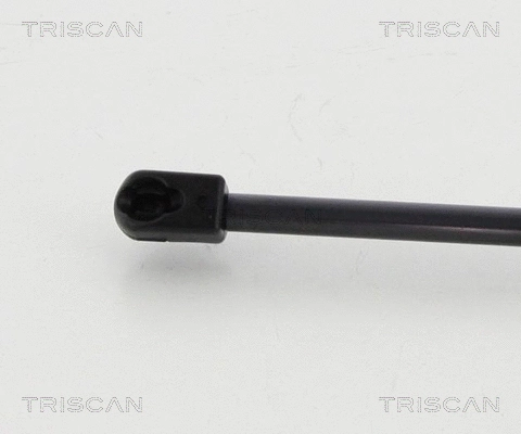 Gas Spring, boot/cargo area