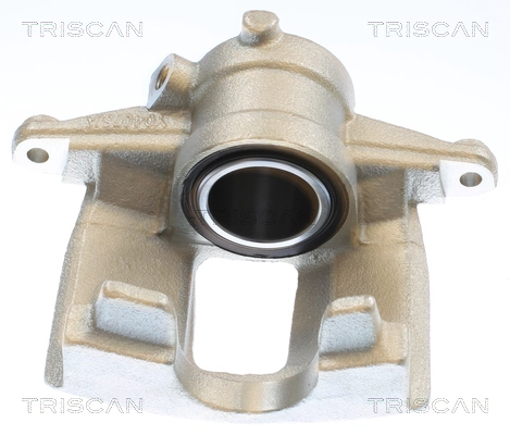 Brake Caliper (8175 10241)