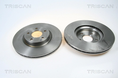 Brake Disc (8120 10180)