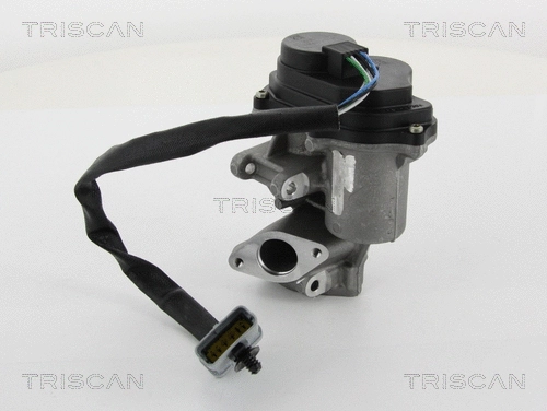 EGR Valve