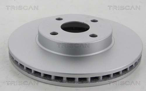 Brake Disc (8120 13173C)