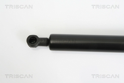 Gas Spring, boot/cargo area