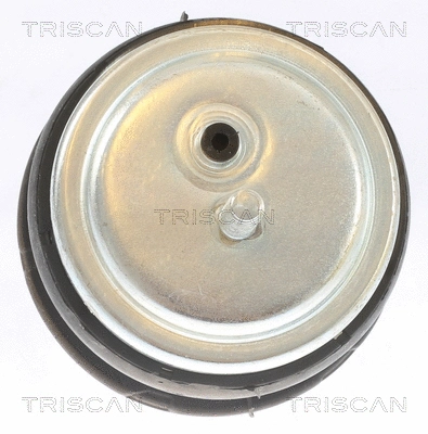 Mounting, engine (8505 11113)