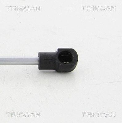 Gas Spring, boot/cargo area