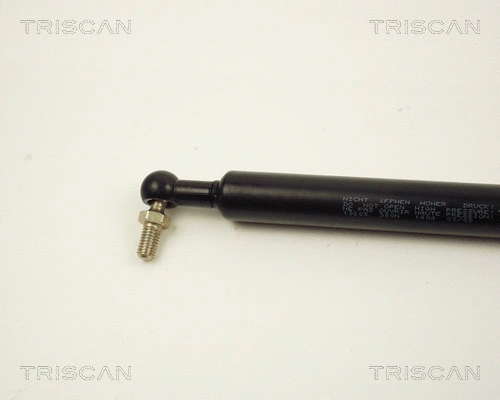 Gas Spring, boot/cargo area