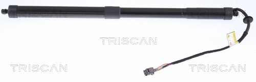 Gas Spring, boot/cargo area (8710 17301)