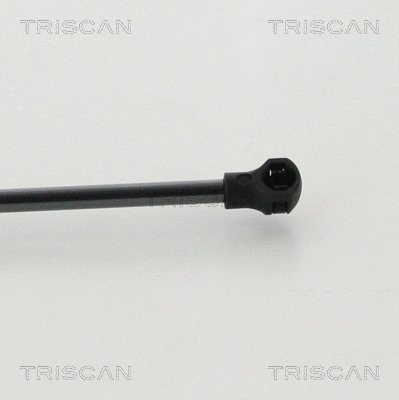 Gas Spring, boot/cargo area