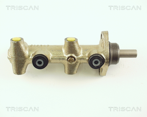 Brake Master Cylinder (8130 29104)