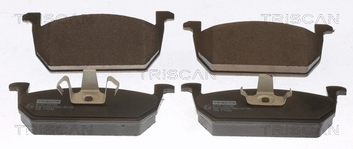 Brake Pad Set, disc brake (8110 29195)