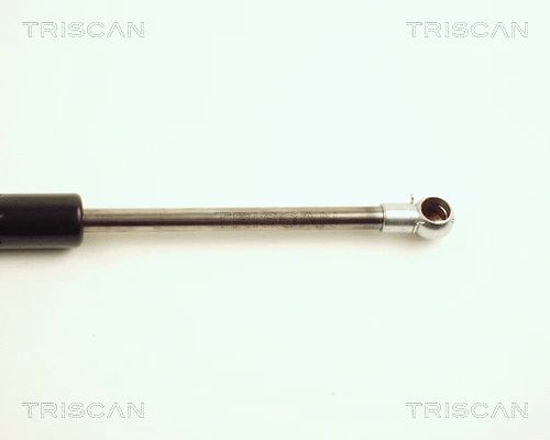 Gas Spring, boot/cargo area