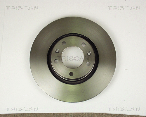 Brake Disc (8120 10117)