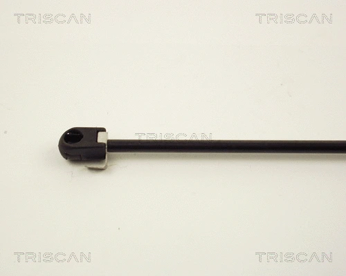 Gas Spring, boot/cargo area