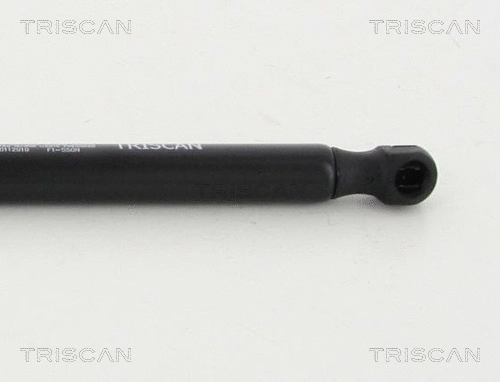 Gas Spring, boot/cargo area