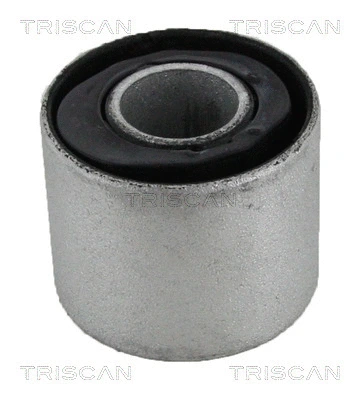 Mounting, control/trailing arm (8500 23867)