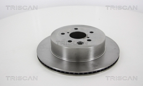 Brake Disc (8120 131025)