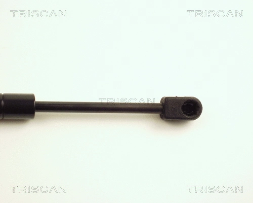 Gas Spring, boot/cargo area
