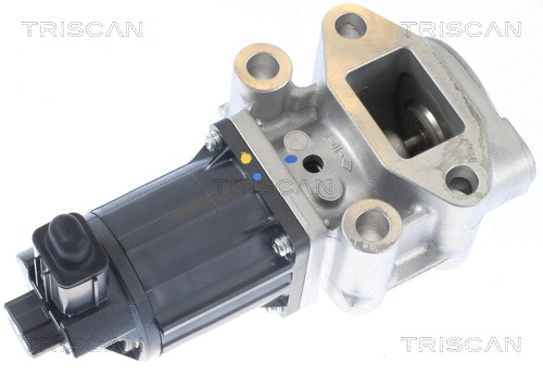 EGR Valve (8813 42001)
