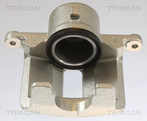 Brake Caliper (8175 13102)