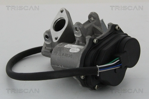 EGR Valve