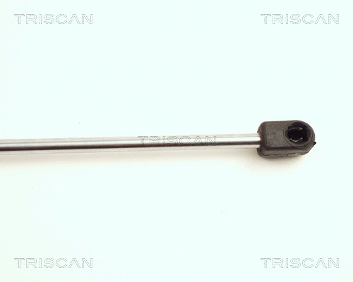 Gas Spring, boot/cargo area