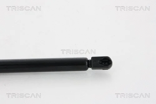 Gas Spring, boot/cargo area