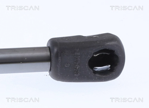 Gas Spring, bonnet