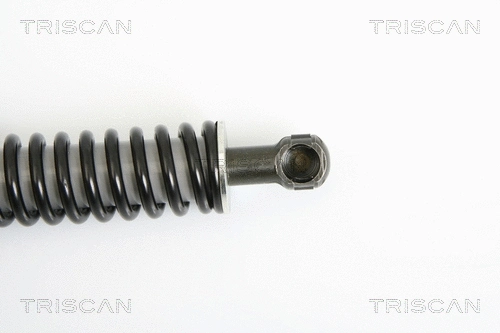 Gas Spring, boot/cargo area