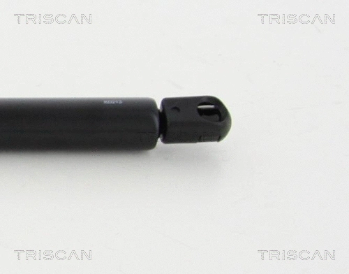 Gas Spring, boot/cargo area