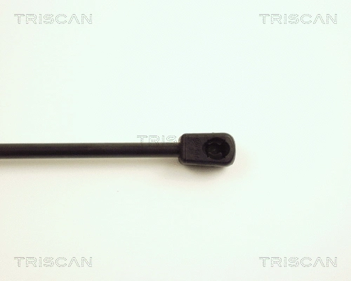 Gas Spring, boot/cargo area