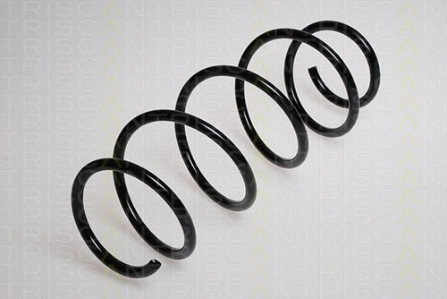 Suspension Spring (8750 1573)