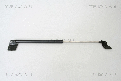 Gas Spring, boot/cargo area (8710 69216)