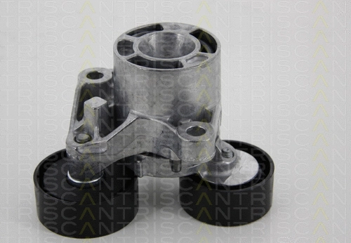 Belt Tensioner, V-ribbed belt (8641 231026)
