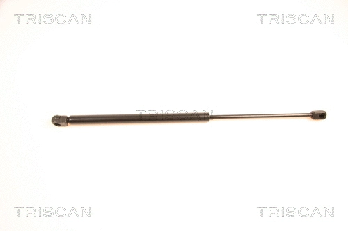 Gas Spring, boot/cargo area