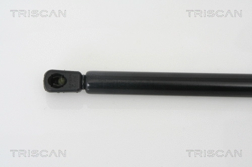 Gas Spring, boot/cargo area